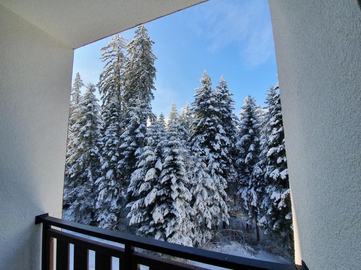 Pinewood ANG luxurious apartment A43, Borovets Gardens Buitenkant foto