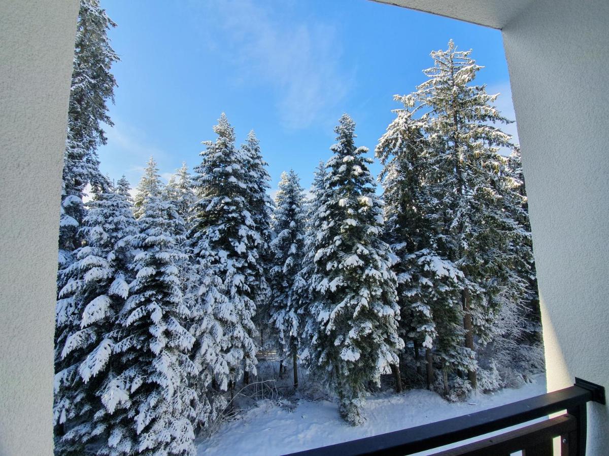 Pinewood ANG luxurious apartment A43, Borovets Gardens Buitenkant foto