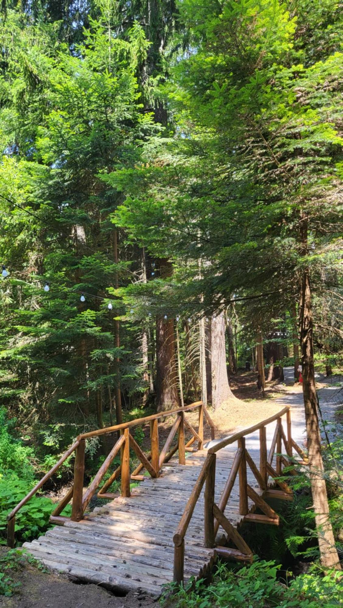 Pinewood ANG luxurious apartment A43, Borovets Gardens Buitenkant foto