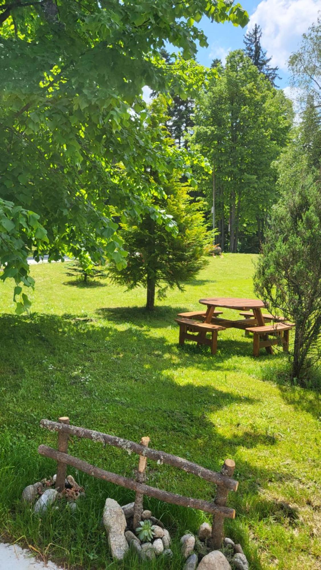 Pinewood ANG luxurious apartment A43, Borovets Gardens Buitenkant foto