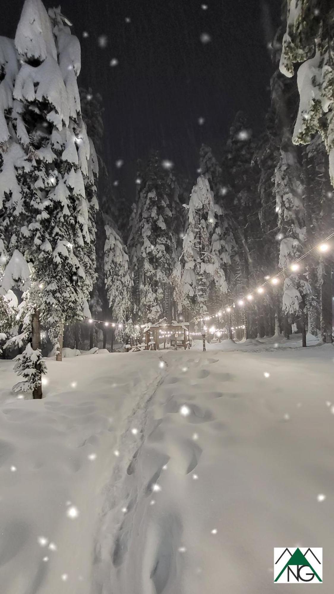Pinewood ANG luxurious apartment A43, Borovets Gardens Buitenkant foto